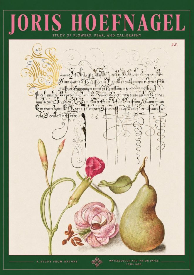 Joris Hoefnagel Botanical Study with Calligraphy II No3 - Poszter