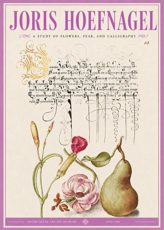 Joris Hoefnagel Botanical Study with Calligraphy II No5 - Poszter