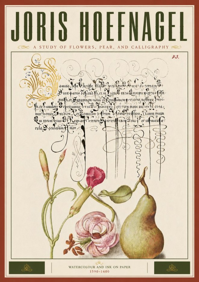 Joris Hoefnagel Botanical Study with Calligraphy II No6 - Poszter