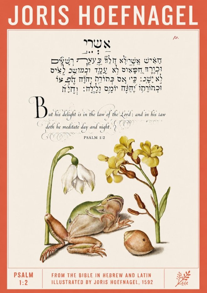 Joris Hoefnagel Psalm 1:2 No2 - Poszter
