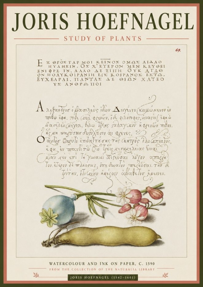 Joris Hoefnagel Study of Plants I No3 - Poszter