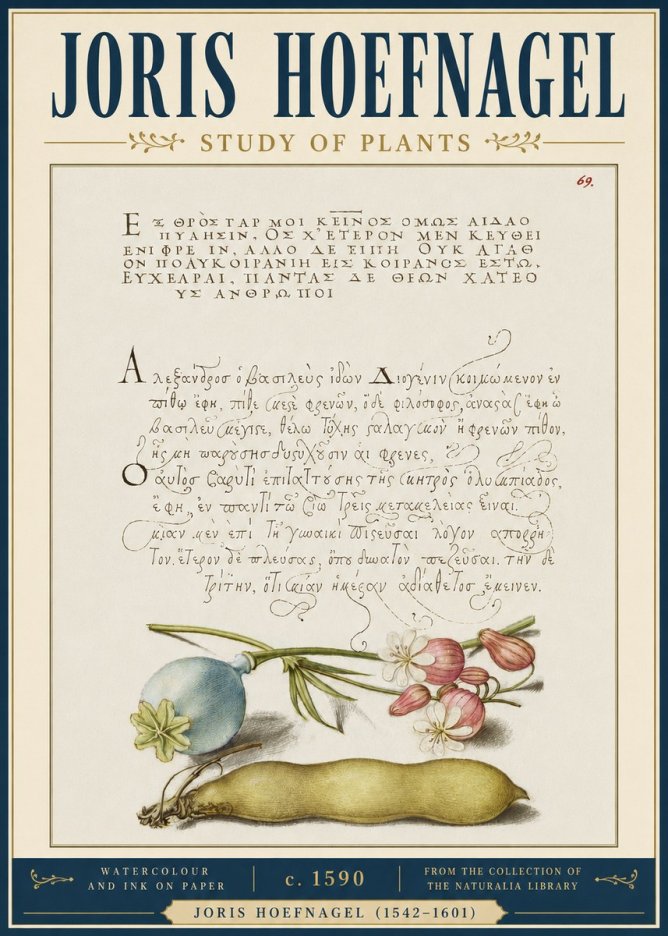 Joris Hoefnagel Study of Plants I No4 - Poszter