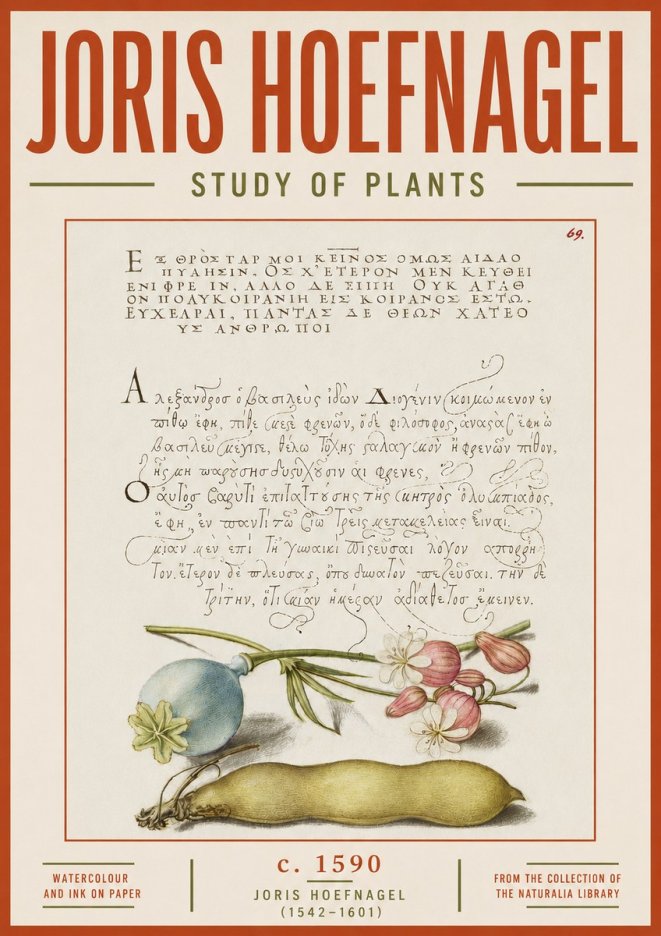 Joris Hoefnagel Study of Plants I No5 - Poszter