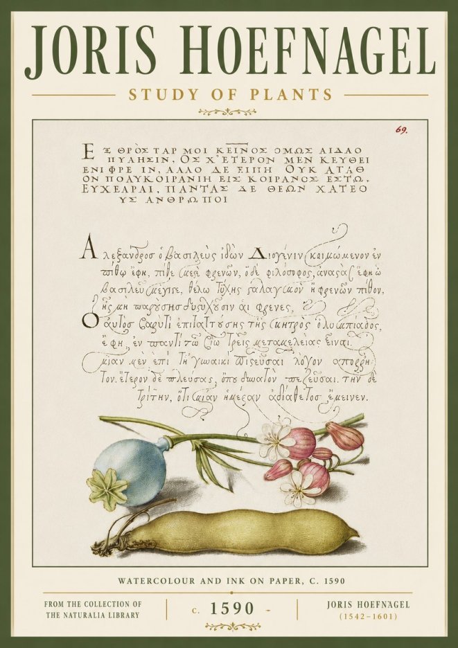 Joris Hoefnagel Study of Plants I No6 - Poszter