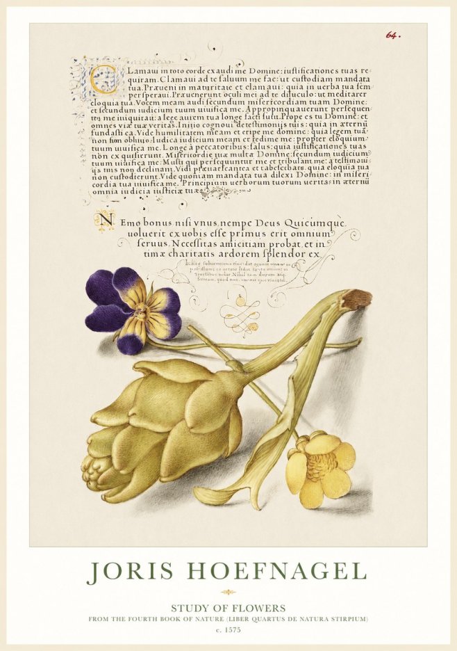 Joris Hoefnagel Botanical Study with Calligraphy III No2 - Poszter