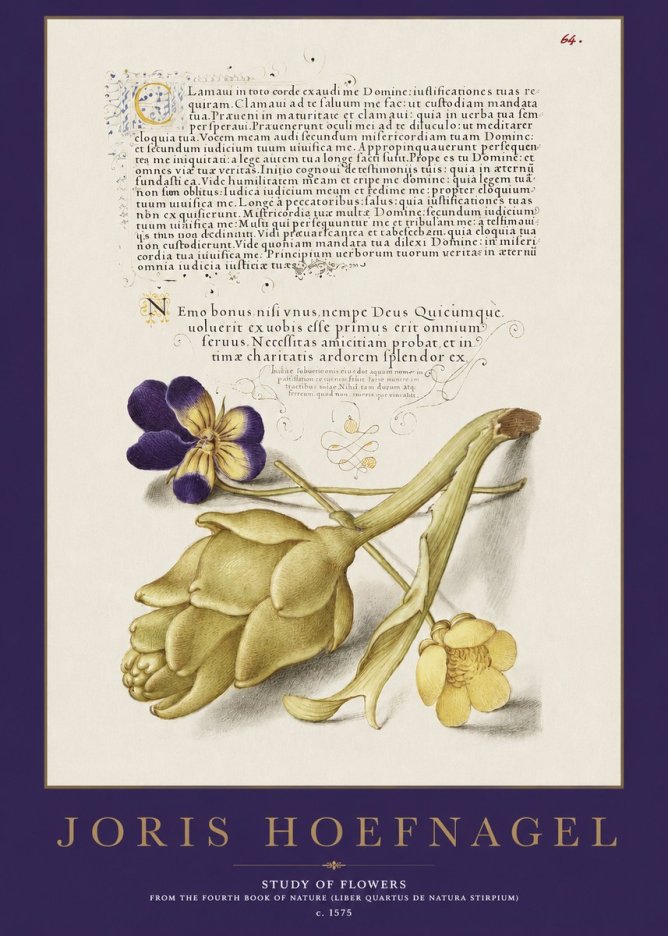 Joris Hoefnagel Botanical Study with Calligraphy III No3 - Poszter