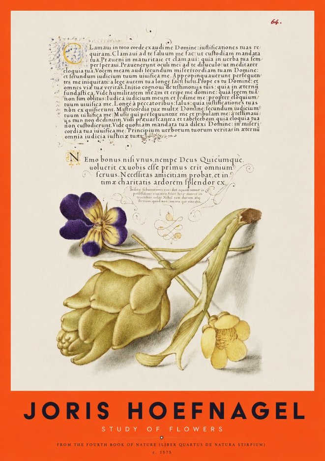 Joris Hoefnagel Botanical Study with Calligraphy III No4 - Poszter