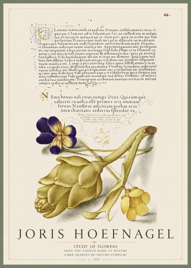 Joris Hoefnagel Botanical Study with Calligraphy III No5 - Poszter