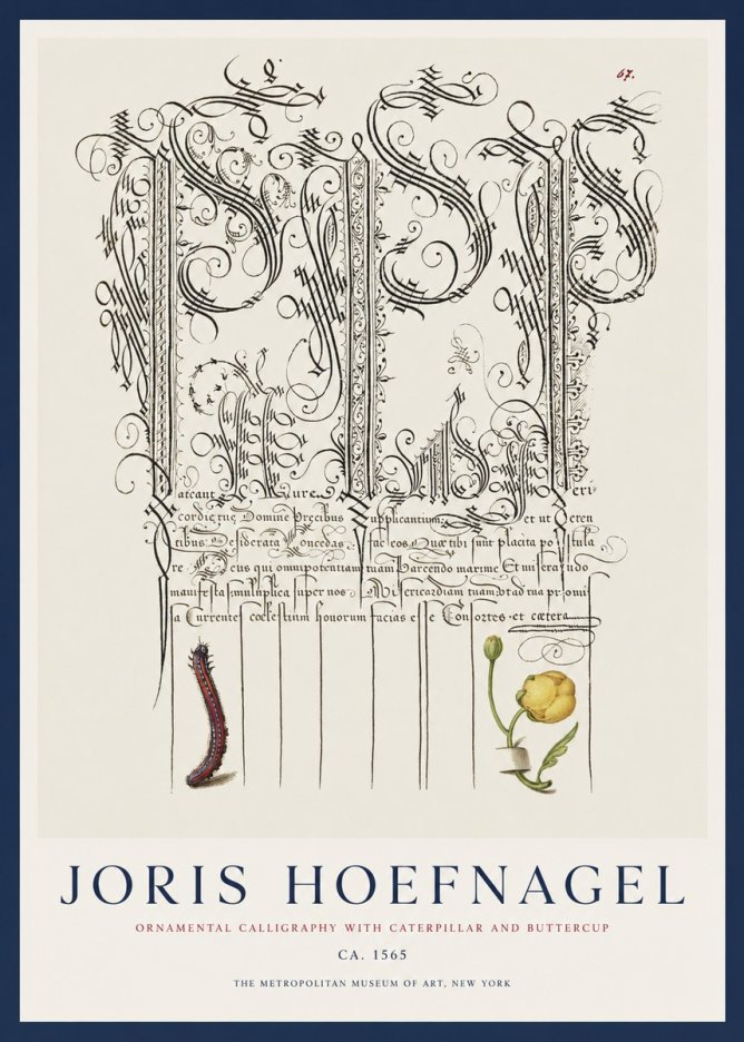 Joris Hoefnagel Ornamental Calligraphy with Caterpillar and Buttercup No1 - Poszter