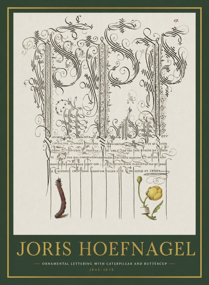 Joris Hoefnagel Ornamental Calligraphy with Caterpillar and Buttercup No2 - Poszter