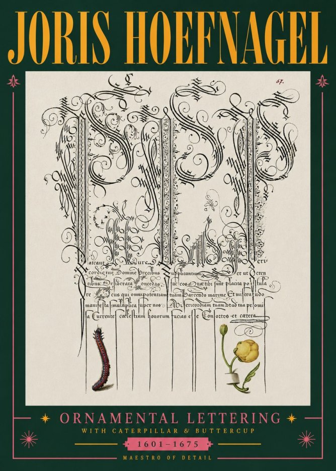 Joris Hoefnagel Ornamental Calligraphy with Caterpillar and Buttercup No5 - Poszter