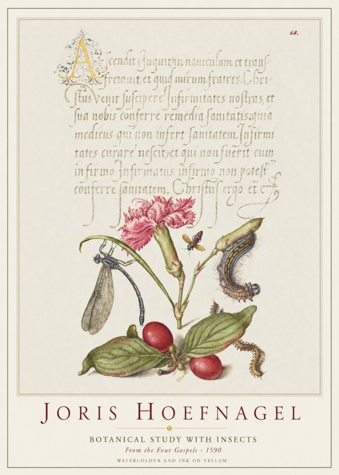 Joris Hoefnagel Botanical Study with Insects No1 - Poszter