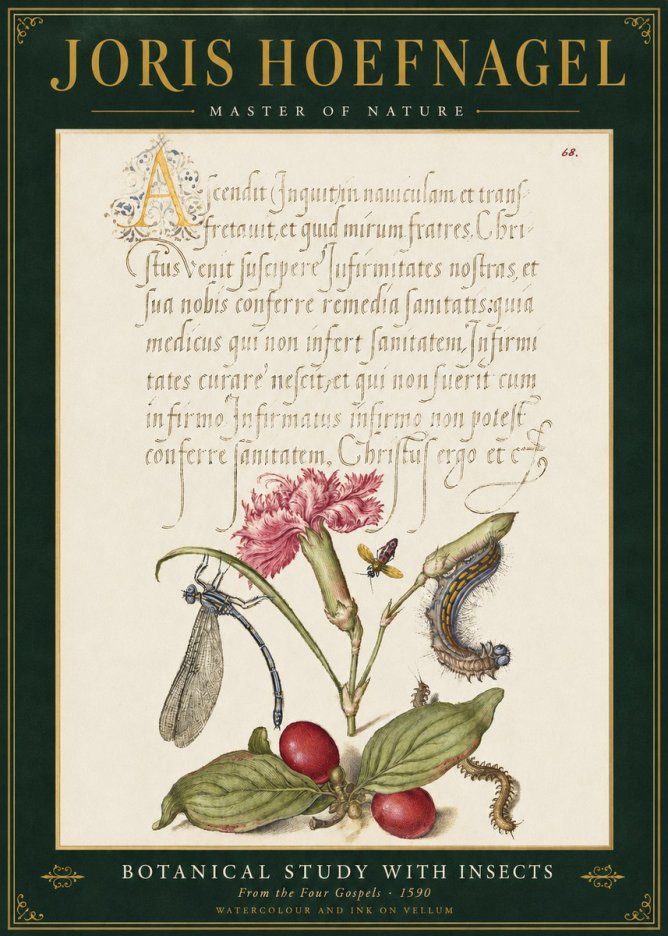 Joris Hoefnagel Botanical Study with Insects No3 - Poszter
