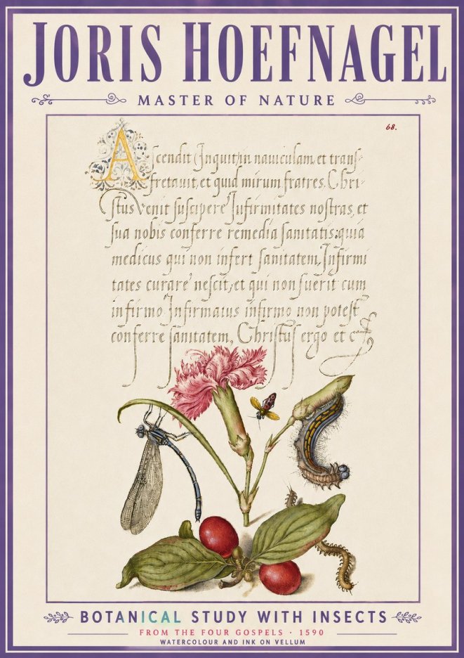 Joris Hoefnagel Botanical Study with Insects No6 - Poszter