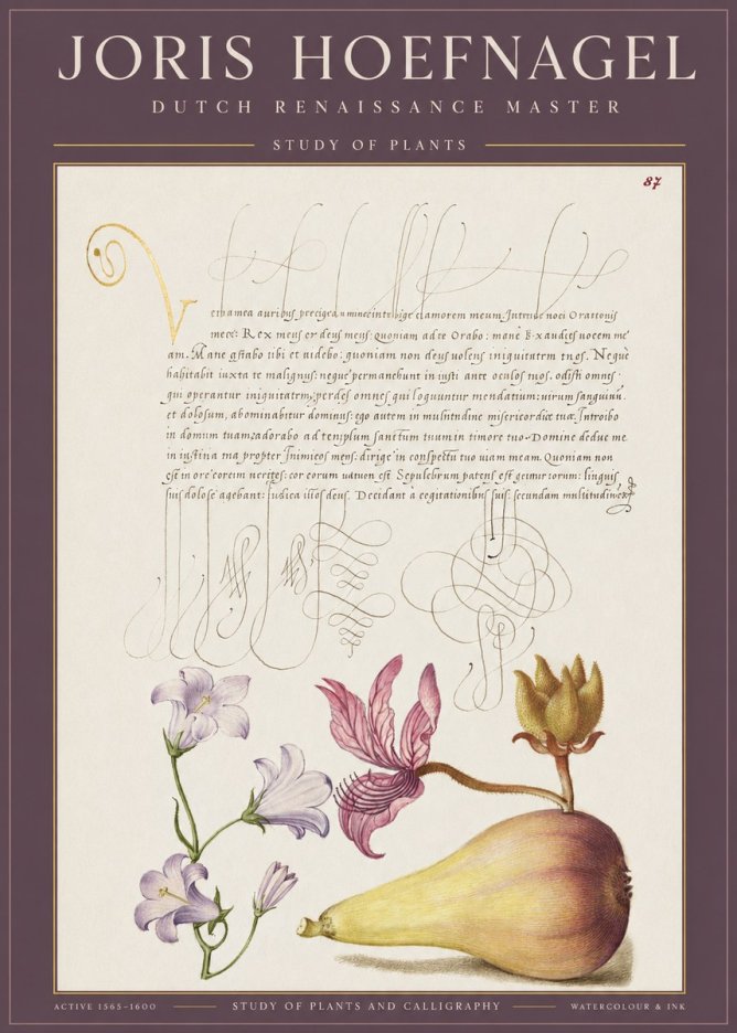 Joris Hoefnagel Study of Plants II No1 - Poszter