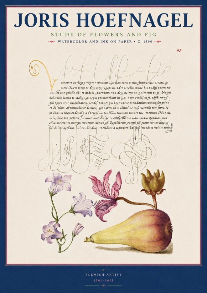 Joris Hoefnagel Study of Plants II No3 - Poszter