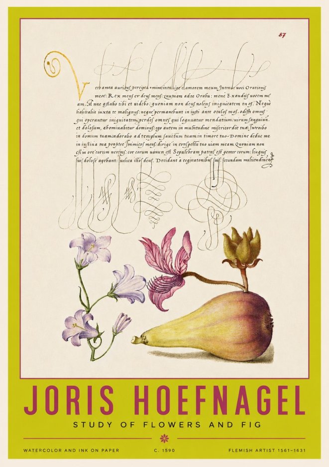 Joris Hoefnagel Study of Plants II No4 - Poszter