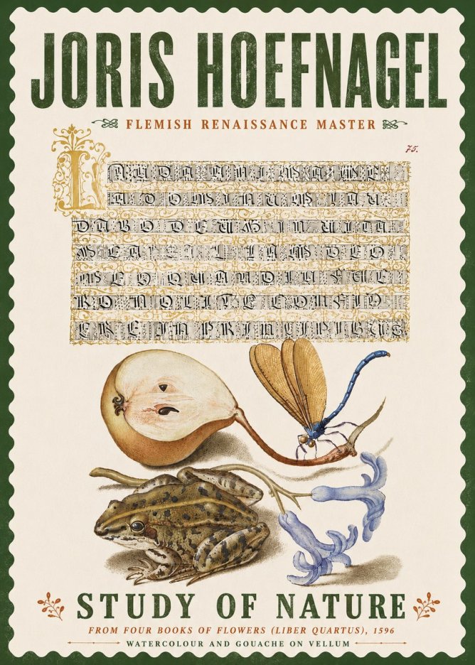 Joris Hoefnagel Study of Nature II No6 - Poszter