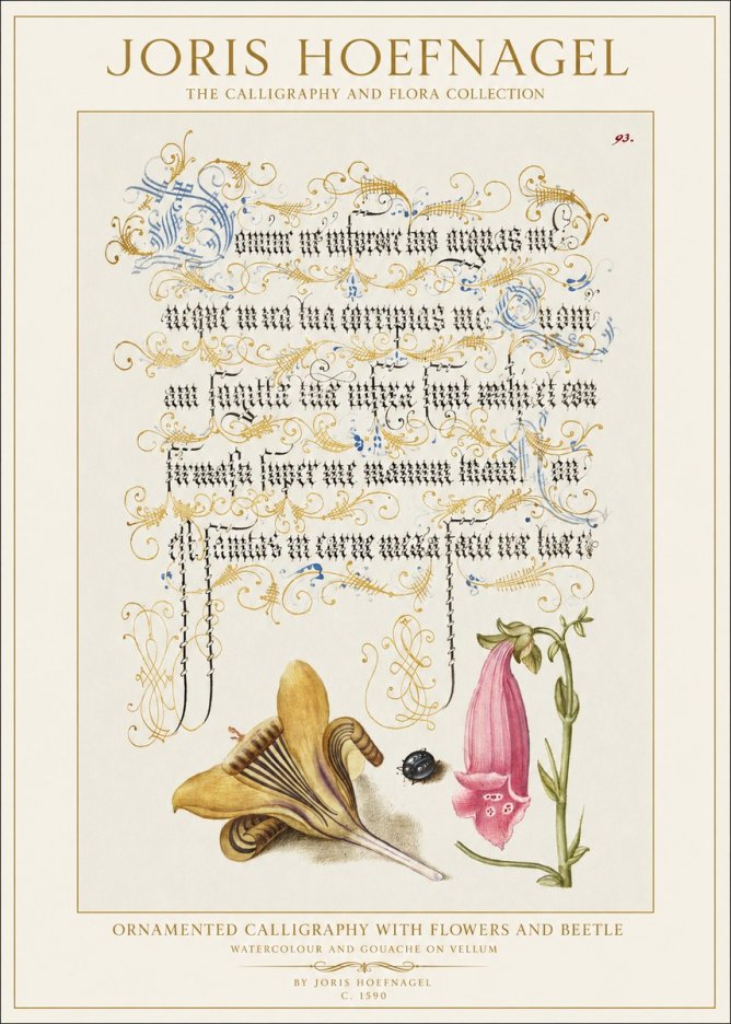 Joris Hoefnagel Ornamented Calligraphy with Flowers and Beetle No1 - Poszter