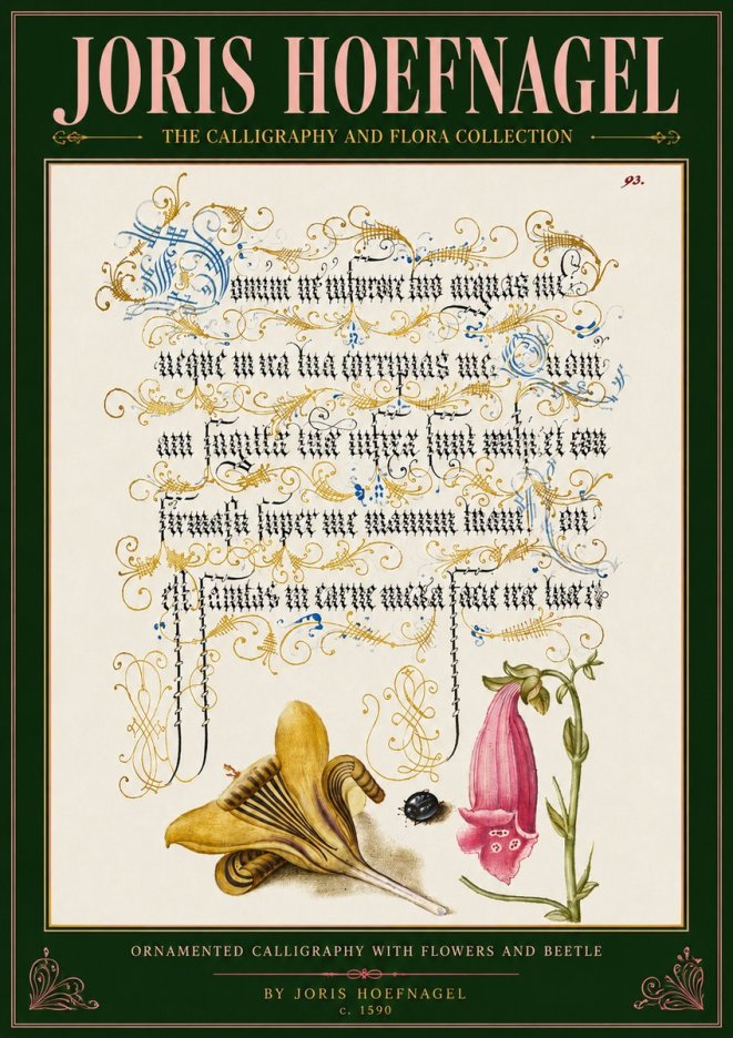 Joris Hoefnagel Ornamented Calligraphy with Flowers and Beetle No4 - Poszter