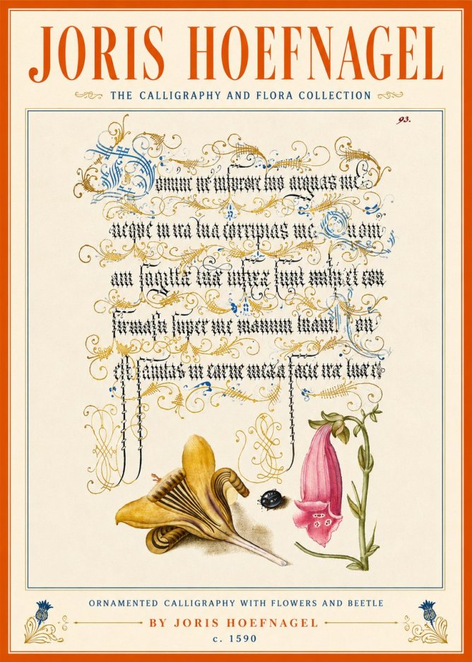 Joris Hoefnagel Ornamented Calligraphy with Flowers and Beetle No5 - Poszter