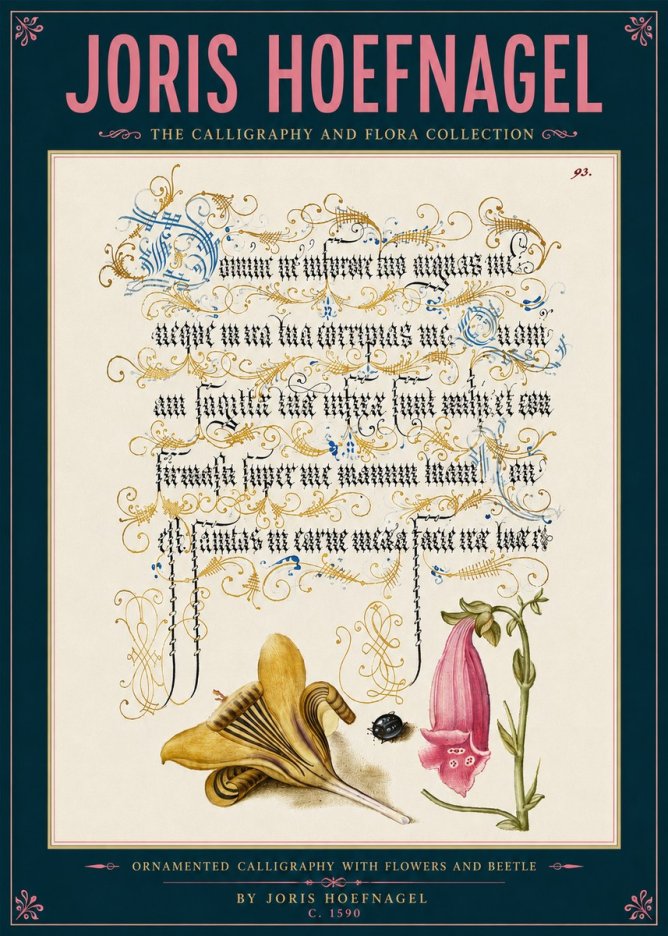 Joris Hoefnagel Ornamented Calligraphy with Flowers and Beetle No6 - Poszter