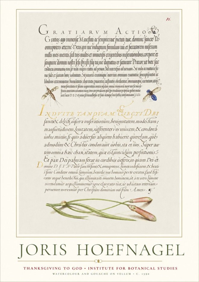 Joris Hoefnagel Thanksgiving to God • Institute for Botanical Studies No1 - Poszter