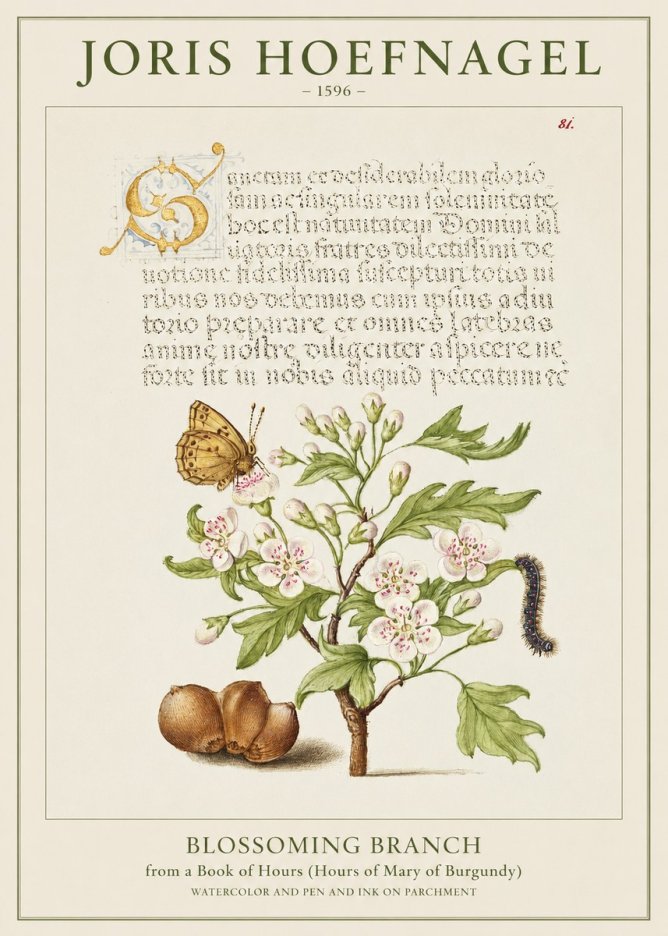 Joris Hoefnagel Blossoming Branch No1 - Poszter