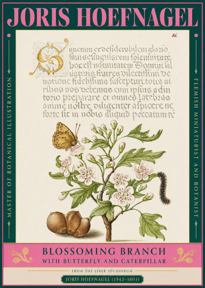 Joris Hoefnagel Blossoming Branch No3 - Poszter