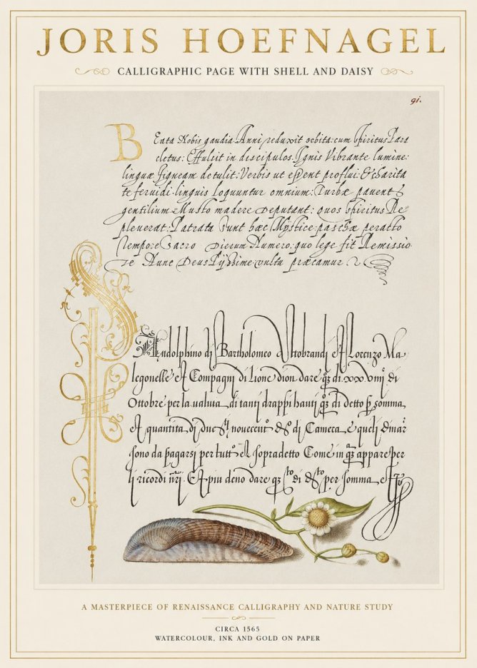 Joris Hoefnagel Calligraphic Page with Shell and Daisy No1 - Poszter
