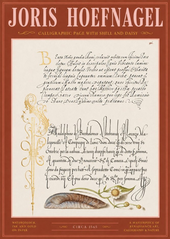 Joris Hoefnagel Calligraphic Page with Shell and Daisy No2 - Poszter