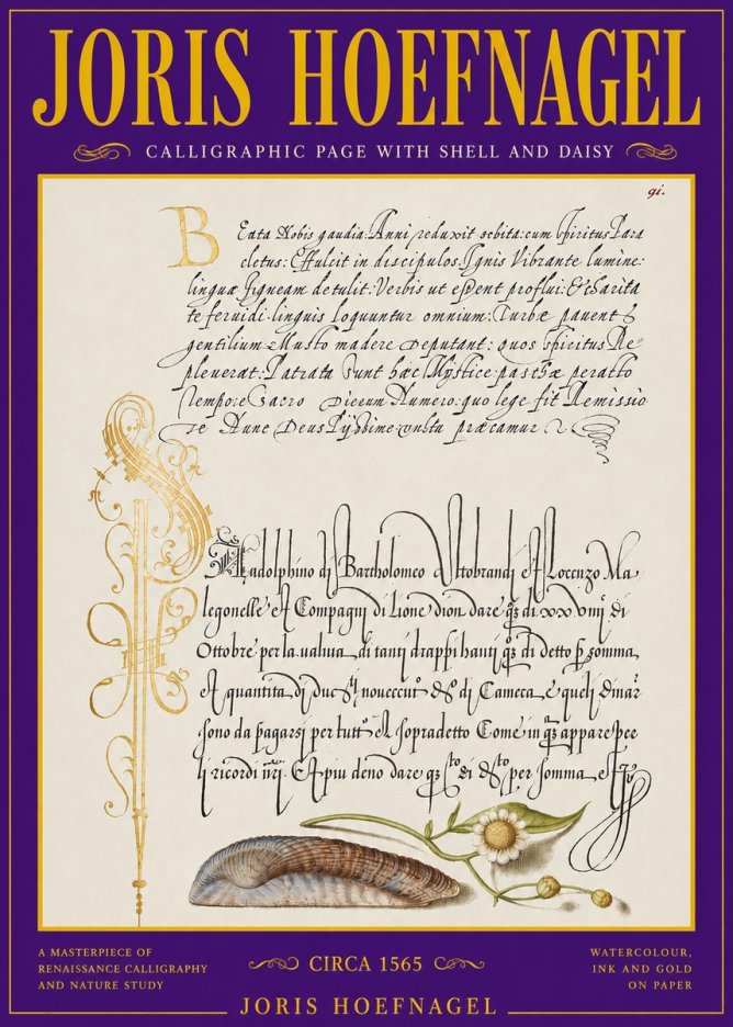 Joris Hoefnagel Calligraphic Page with Shell and Daisy No3 - Poszter