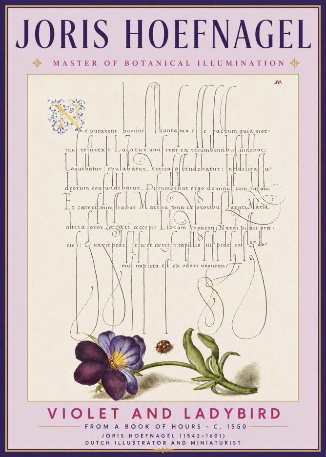 Joris Hoefnagel Violet and Ladybird No3 - Poszter