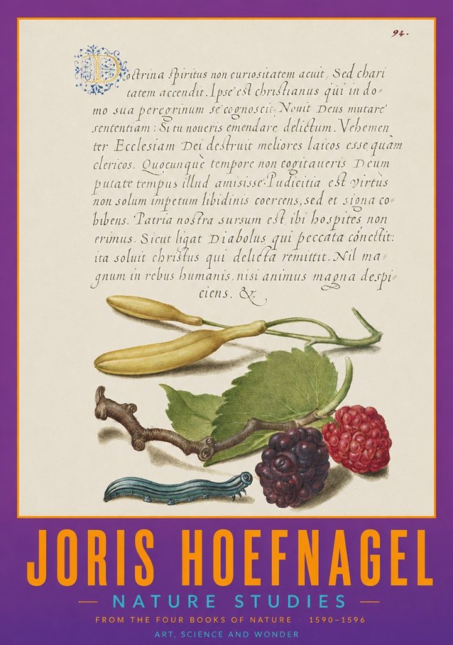 Joris Hoefnagel Nature Studies No2 - Poszter
