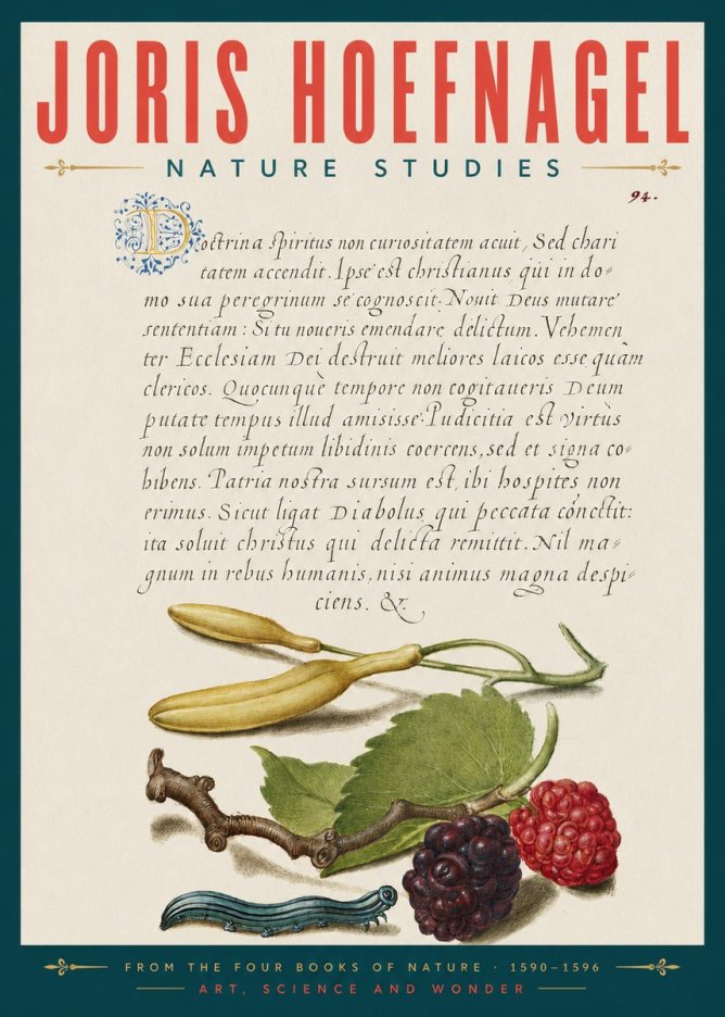 Joris Hoefnagel Nature Studies No5 - Poszter