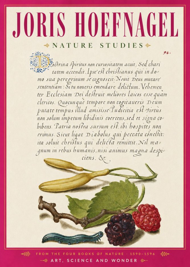 Joris Hoefnagel Nature Studies No6 - Poszter