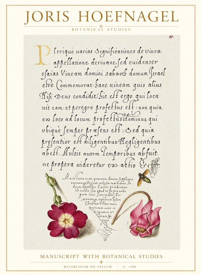 Joris Hoefnagel Manuscript with Botanical Studies No1 - Poszter