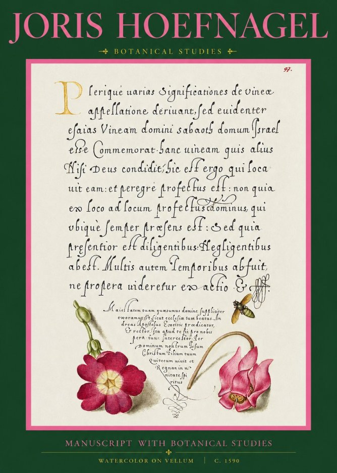Joris Hoefnagel Manuscript with Botanical Studies No2 - Poszter
