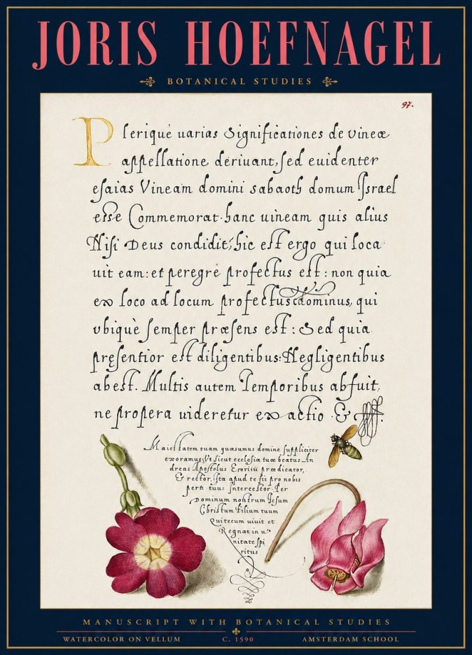 Joris Hoefnagel Manuscript with Botanical Studies No3 - Poszter