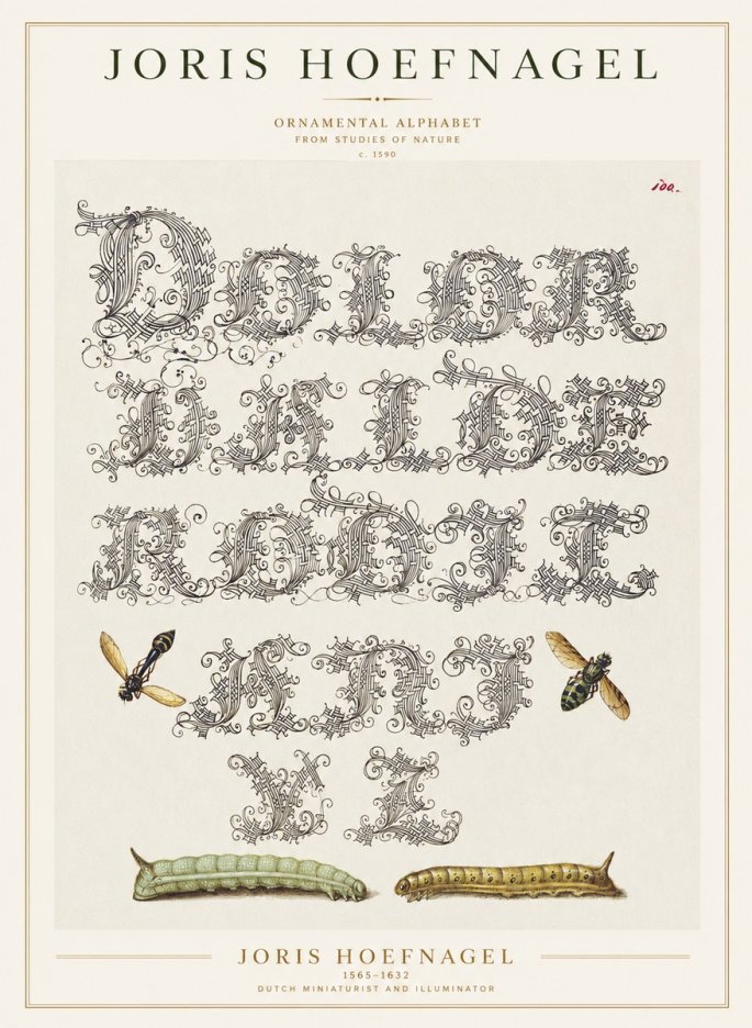 Joris Hoefnagel Ornamental Alphabet from Studies of Nature No1 - Poszter