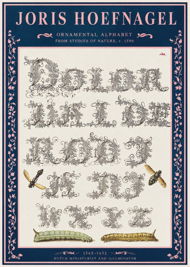 Joris Hoefnagel Ornamental Alphabet from Studies of Nature No2 - Poszter