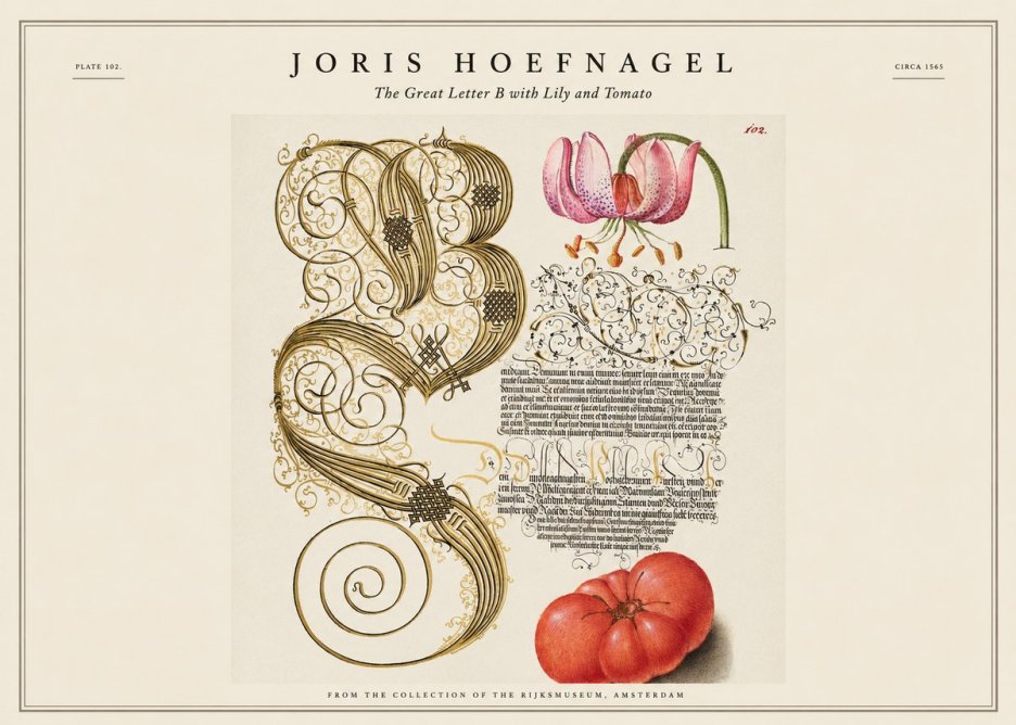 Joris Hoefnagel The Great Letter B with Lily and Tomato No1 - Poszter