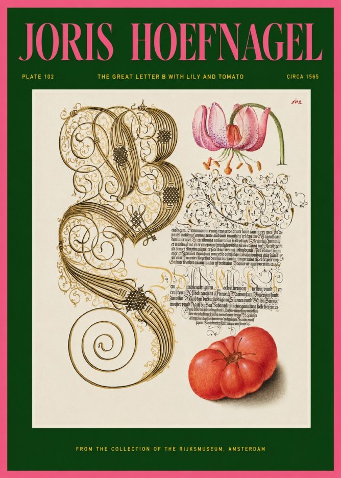 Joris Hoefnagel The Great Letter B with Lily and Tomato No2 - Poszter