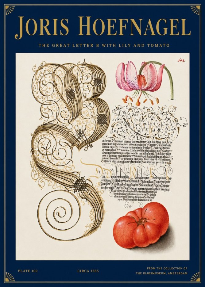 Joris Hoefnagel The Great Letter B with Lily and Tomato No3 - Poszter