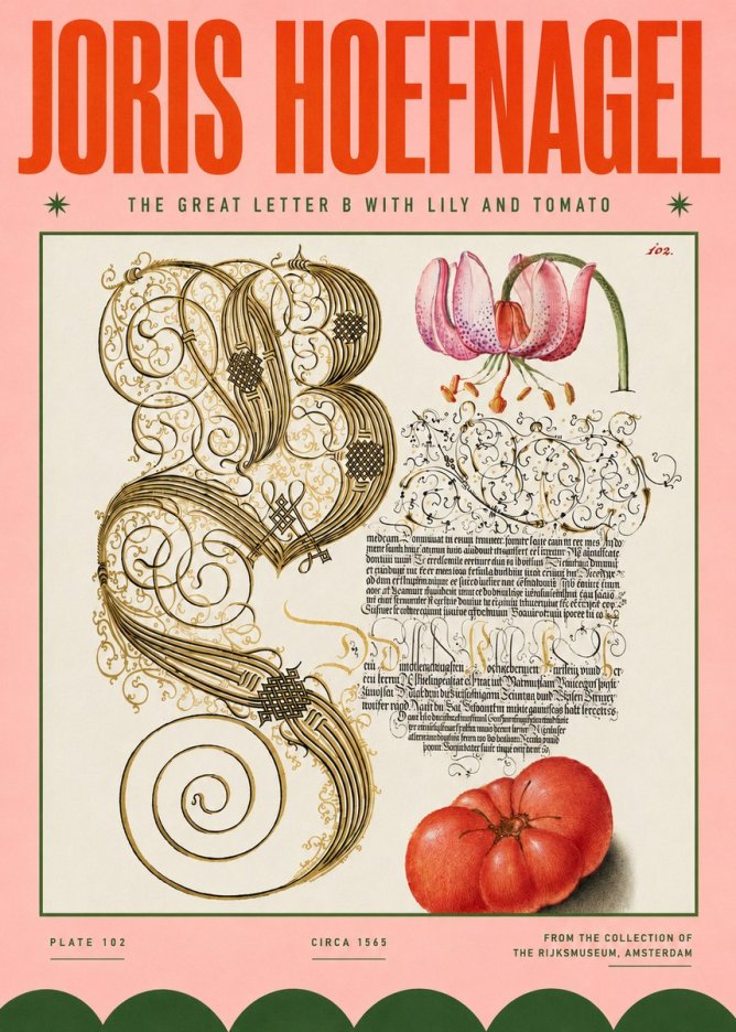 Joris Hoefnagel The Great Letter B with Lily and Tomato No4 - Poszter