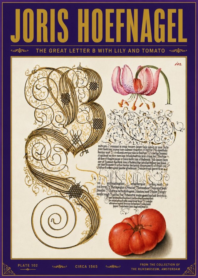 Joris Hoefnagel The Great Letter B with Lily and Tomato No6 - Poszter