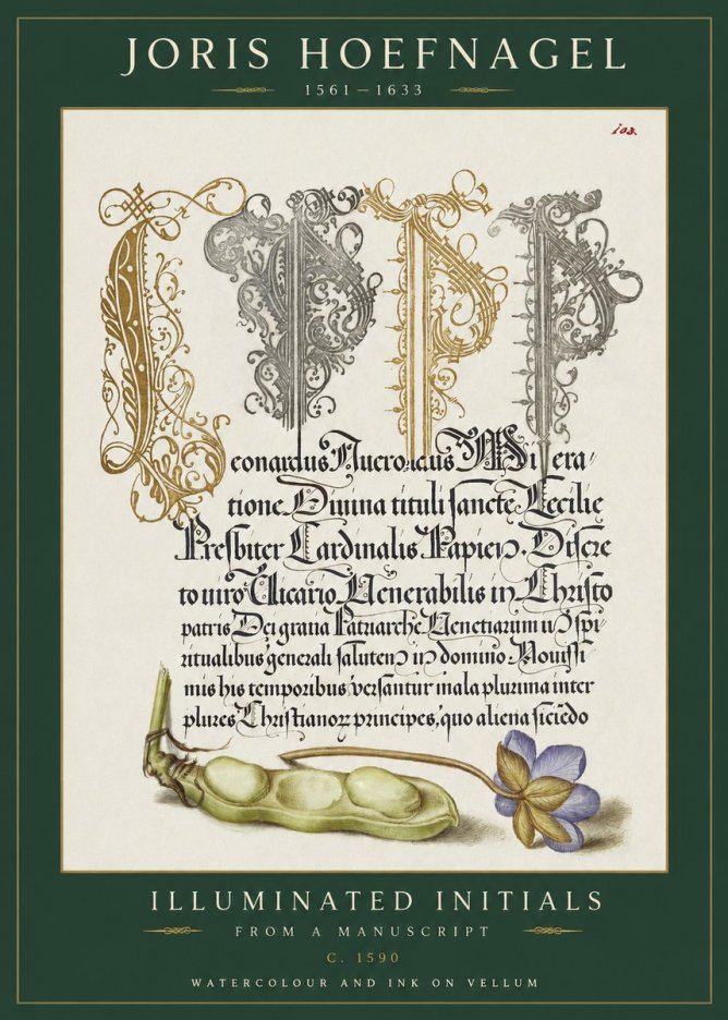 Joris Hoefnagel Illuminated Initials with Peapod and Flower No2 - Poszter