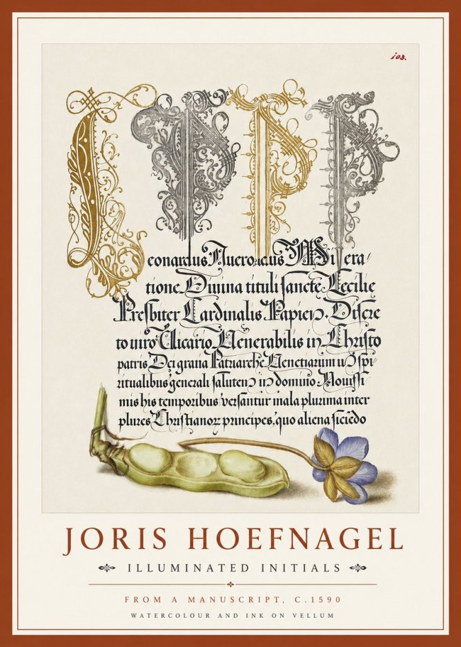 Joris Hoefnagel Illuminated Initials with Peapod and Flower No4 - Poszter