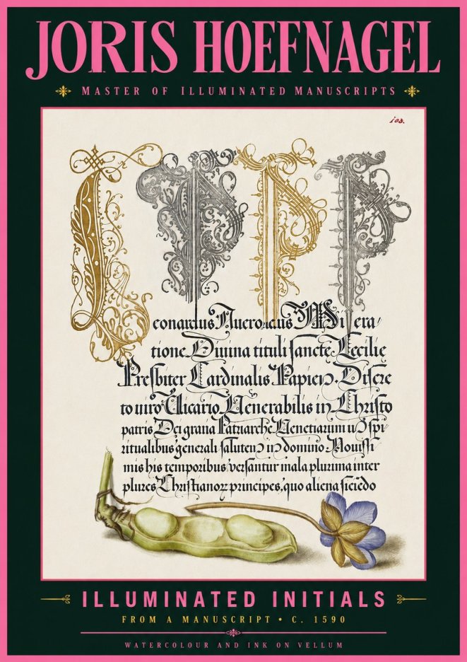 Joris Hoefnagel Illuminated Initials with Peapod and Flower No6 - Poszter