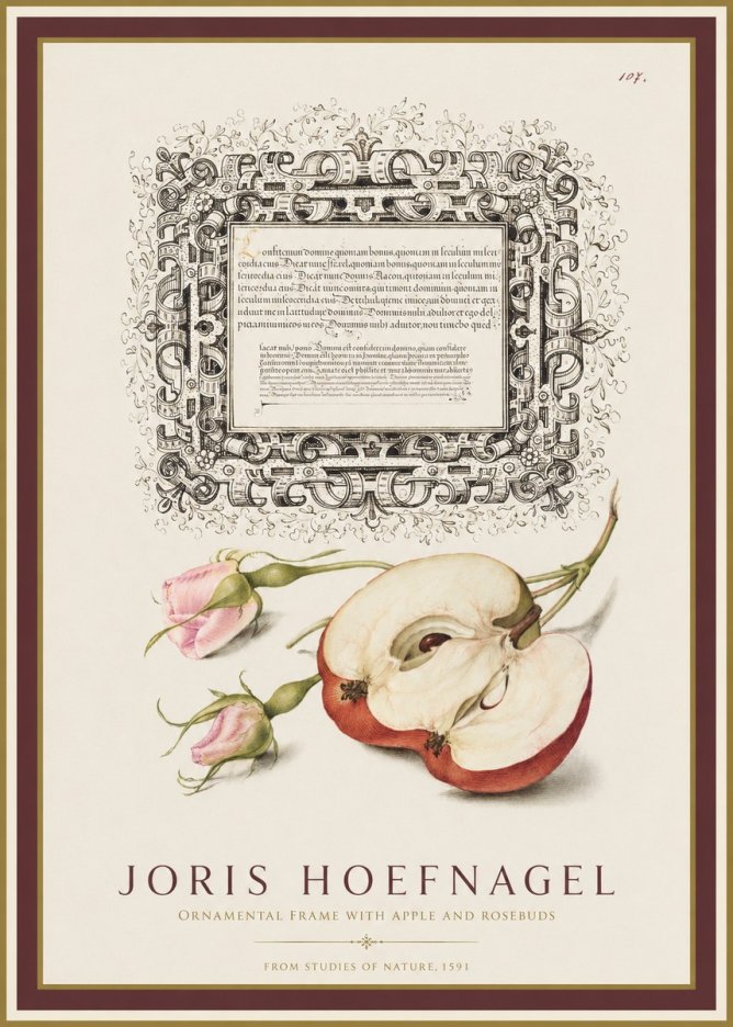 Joris Hoefnagel Illuminated Calligraphy and Botanical Study No2 - Poszter